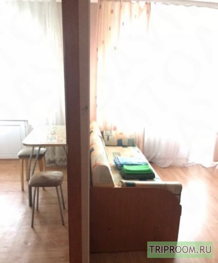1-комнатная квартира посуточно (вариант № 46496), ул. Деповская улица, фото № 1