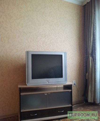 1-комнатная квартира посуточно (вариант № 46499), ул. Советской Армии, фото № 1