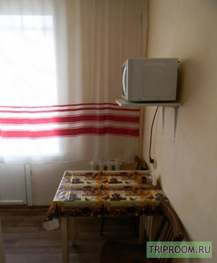 1-комнатная квартира посуточно (вариант № 47449), ул. Красноармейский, фото № 4